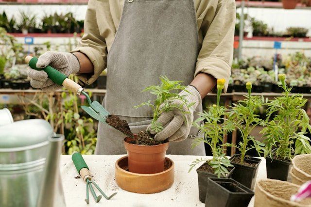 Plant Experts At Your Service